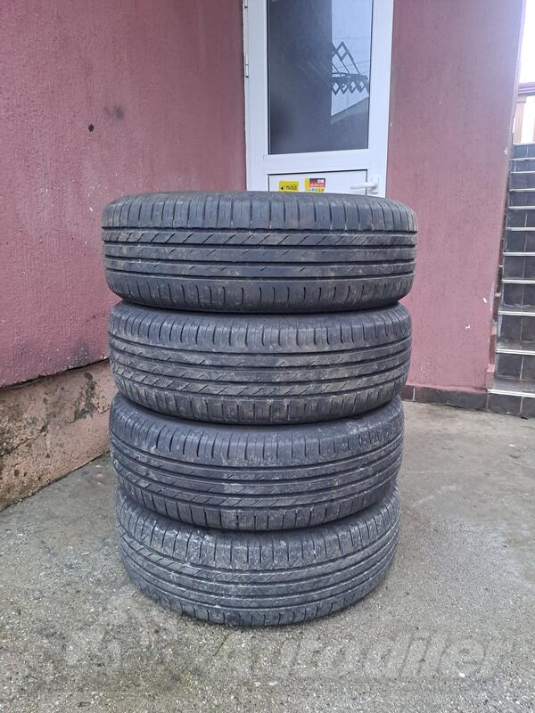 Nokian - 225/65/R17 - Yaz guma