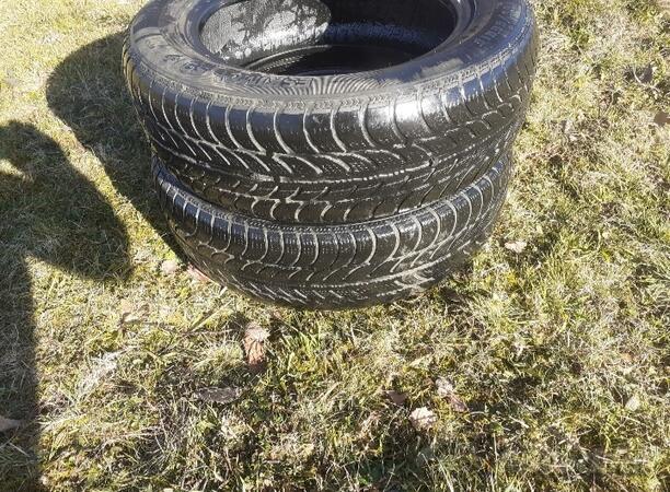 Sava - m+s - Winter guma