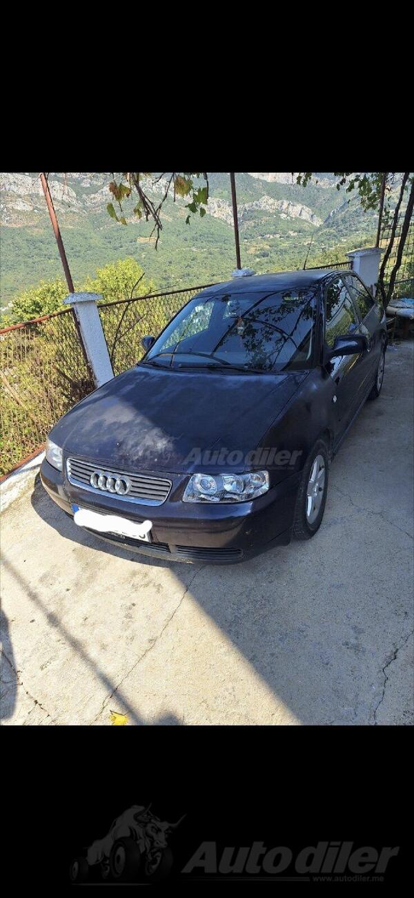 Audi - A3 - auti 19 81