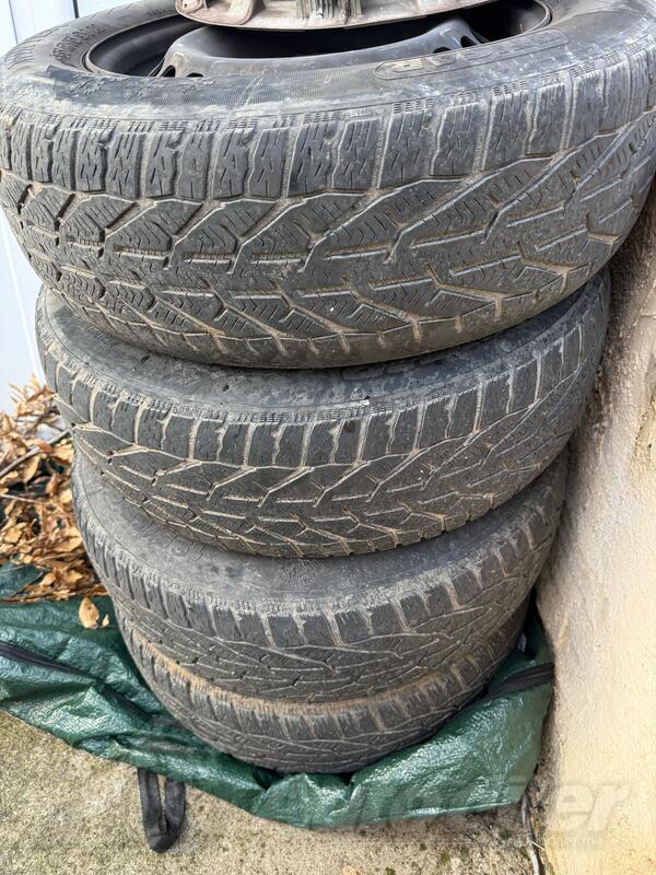 Tigar - winter - Kış guma