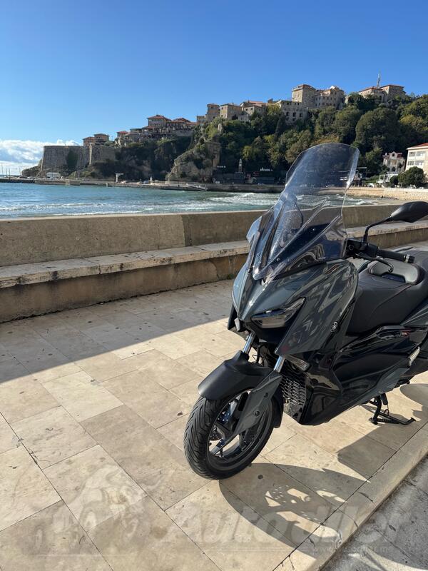 Yamaha - tech max 300