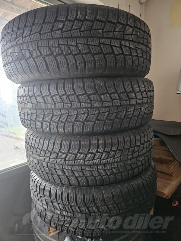 Viking - zimska  - Kış guma