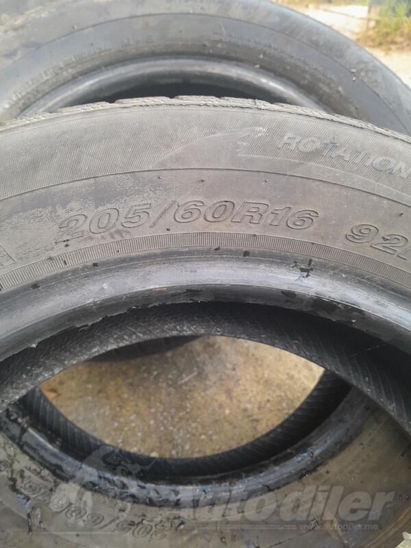 West Lake - Winter - Winter guma