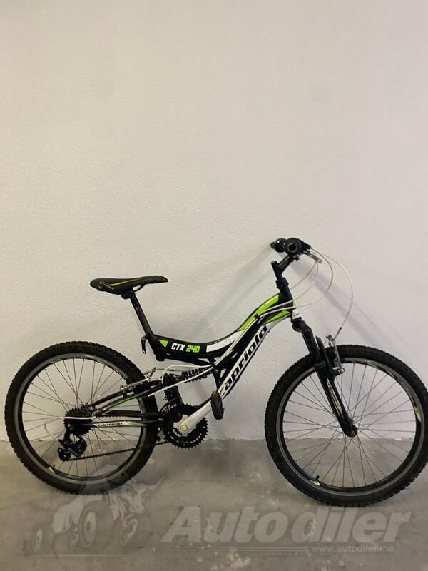 Capriolo - Ctx 240
