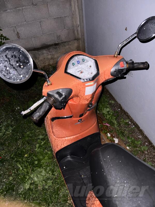 Piaggio - tnt