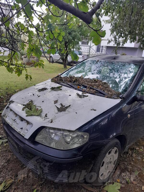 Fiat - Punto - 1.2