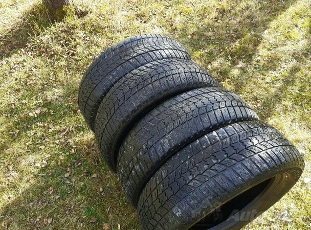 Sava - m+s - Winter tire