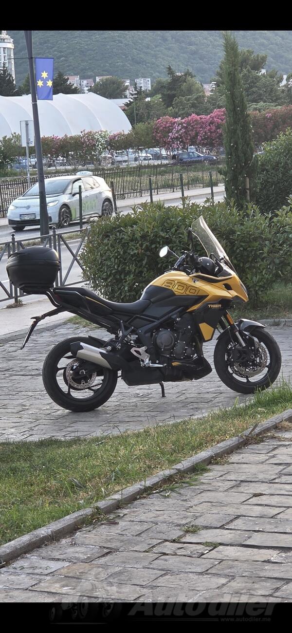 Triumph - tiger sport 800