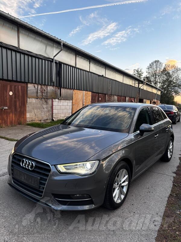 Audi - A3 - A3 1.6