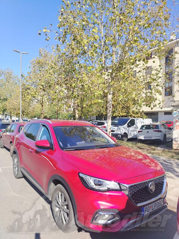 MG - Ostalo - HS