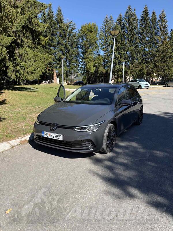 Volkswagen - Golf 8 - 2.0 TDI