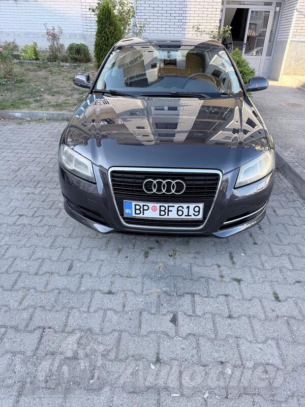 Audi - A3 - 1.6 TDI