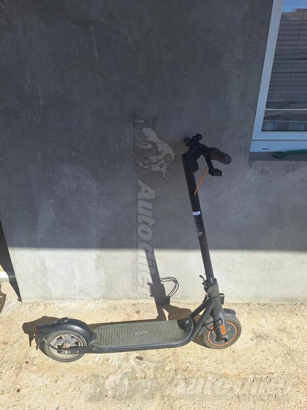 Bergamont - Nain bot