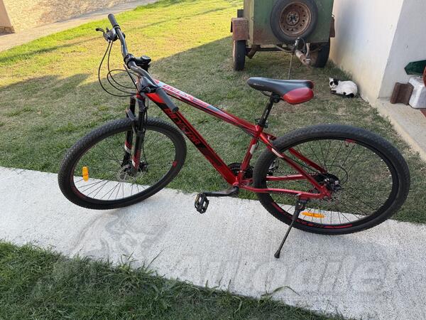 Shimano - Bicystar