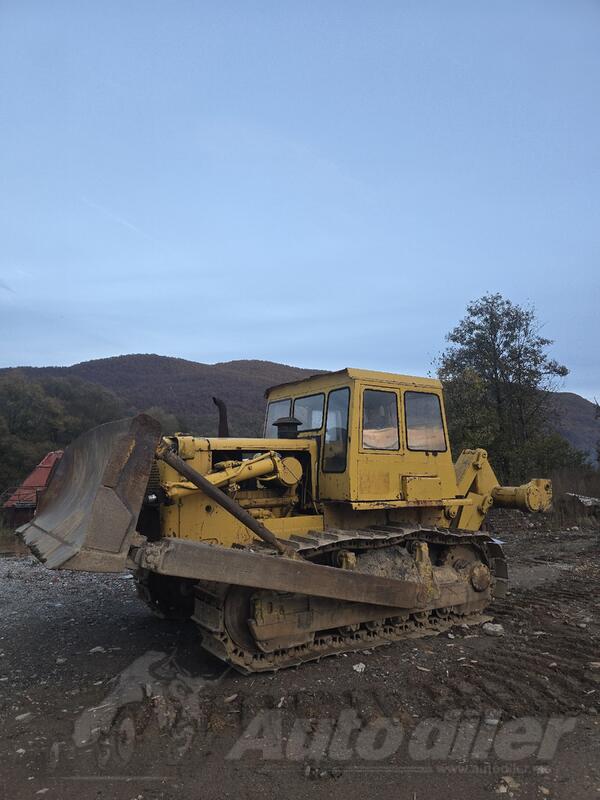 CAT - D7