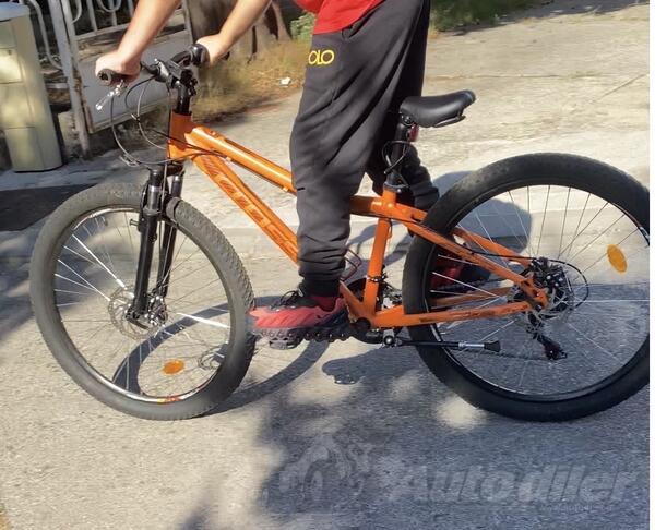 Cross - Cross california 26’’ db alu orange