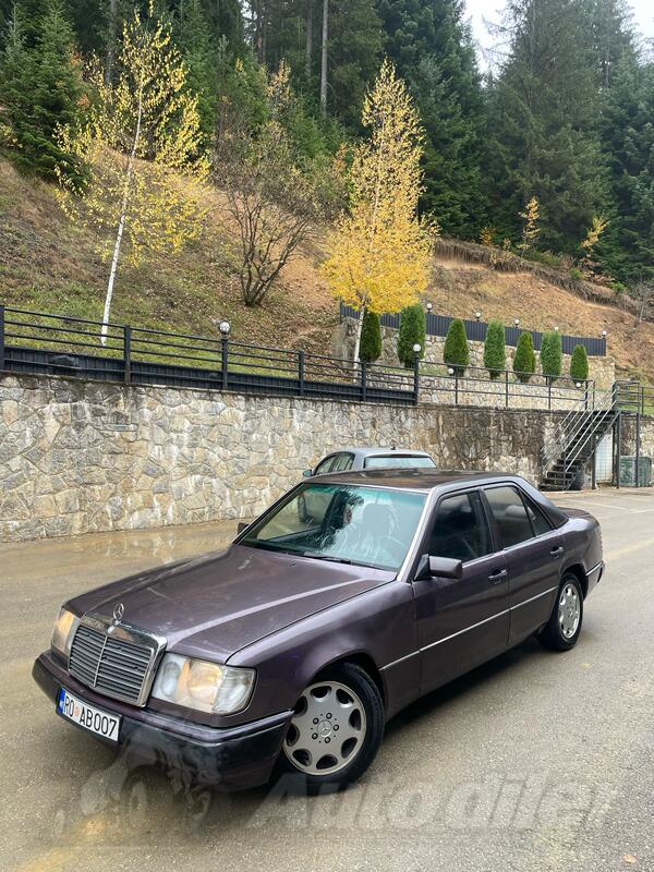 Mercedes Benz - 250 - D