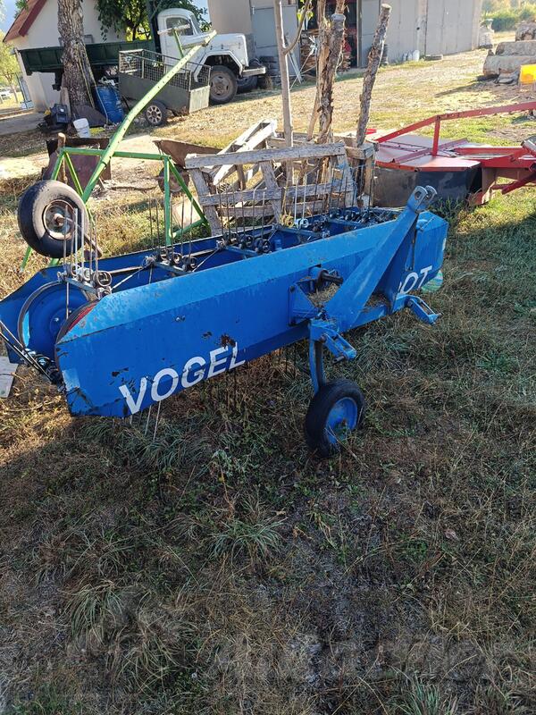 Vogt - wogel