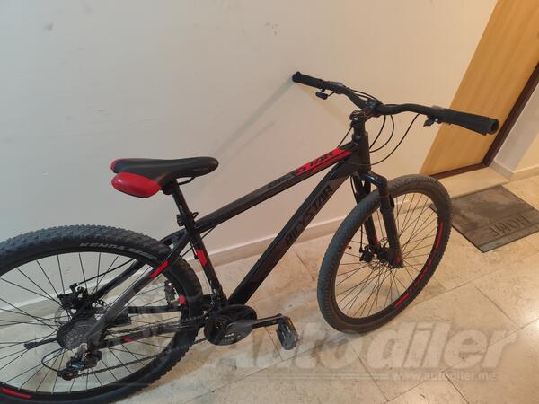 Author - bicystar