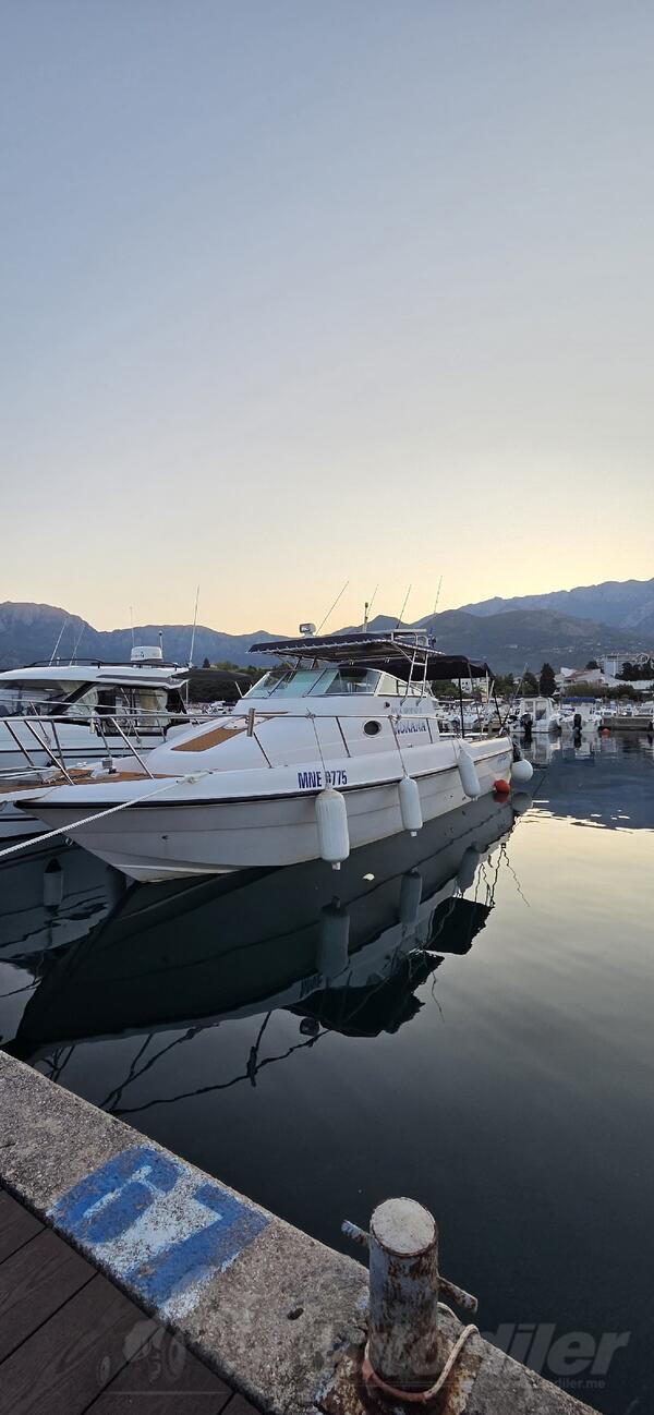 Ostalo - Gulf Craft 31