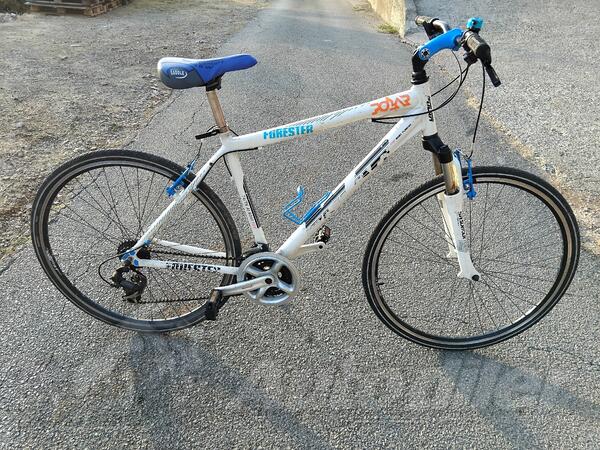 Polar - FORESTER