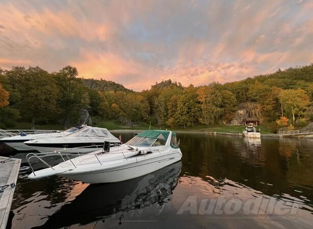 Sea ray - 290 Sundancer