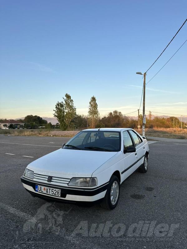 Peugeot - 405 - 1.9