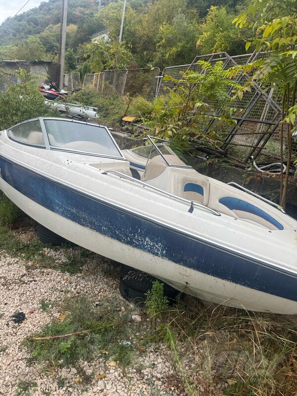 Sea ray - sea x