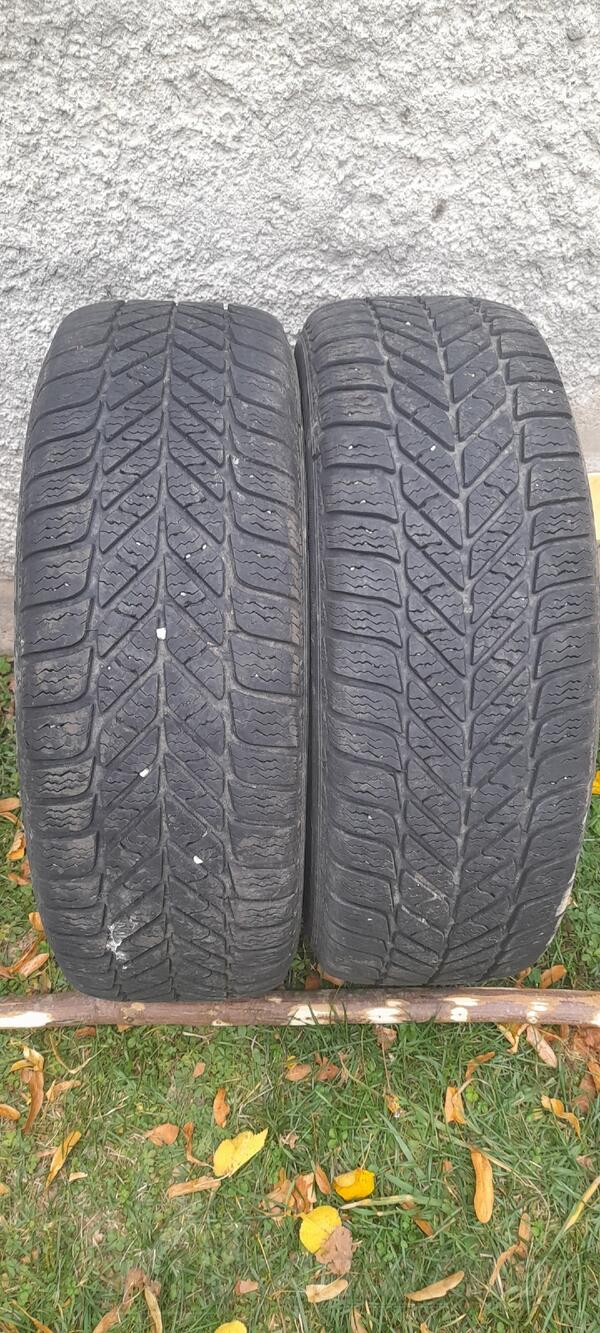 Debica - Frigo - Winter tire