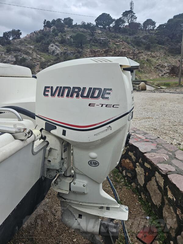 Evinrude - e tek 150 - Boat engines