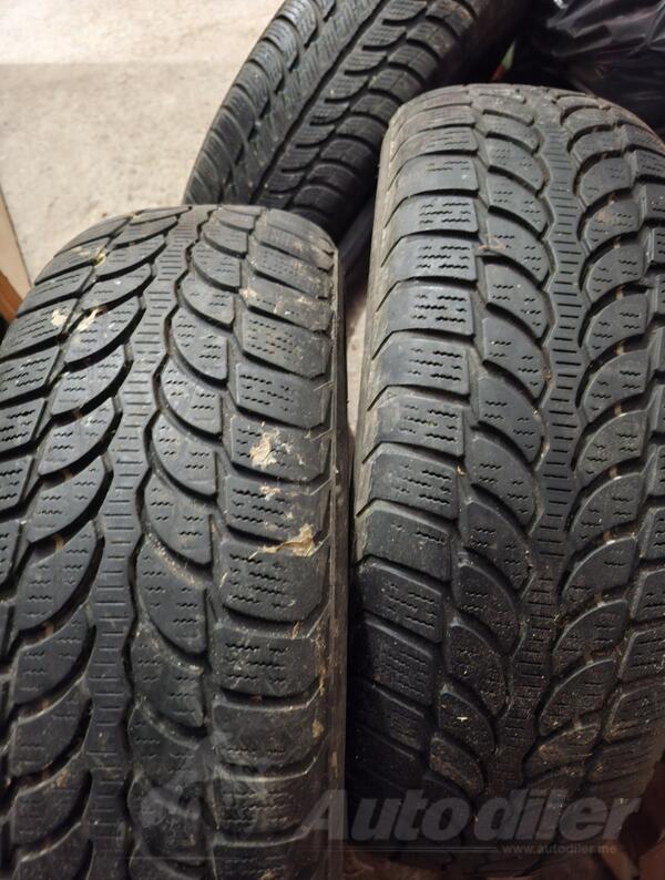 Sava - zimska - Kış guma