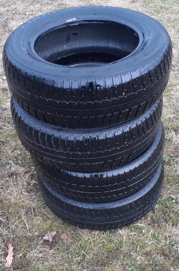 GoodYear - / - Winter guma
