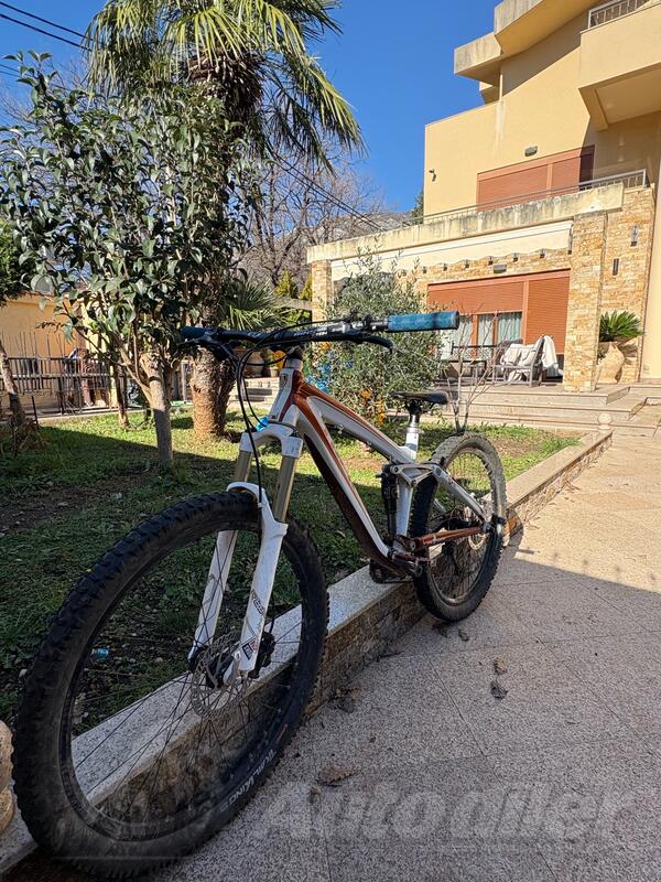 Trek - remedy 8 2010