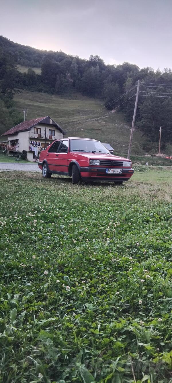 Volkswagen - Jetta - Jetta