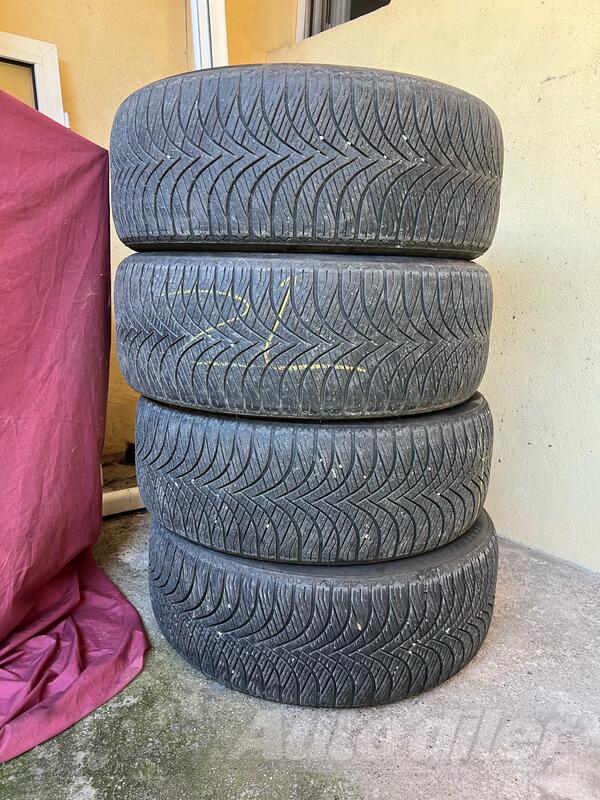 West Lake - vestlake - Всесезонная guma