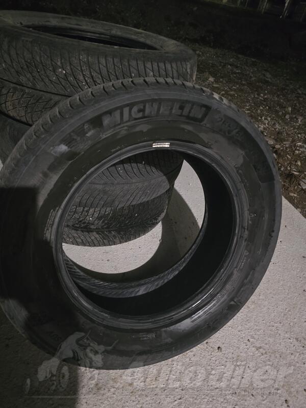 Michelin - Alpine - Zimska guma