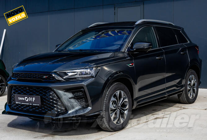 SWM - G01F PREMIUM - DCT