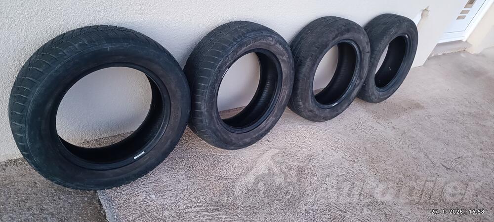 Barum - Polaris 5 - Летняя guma