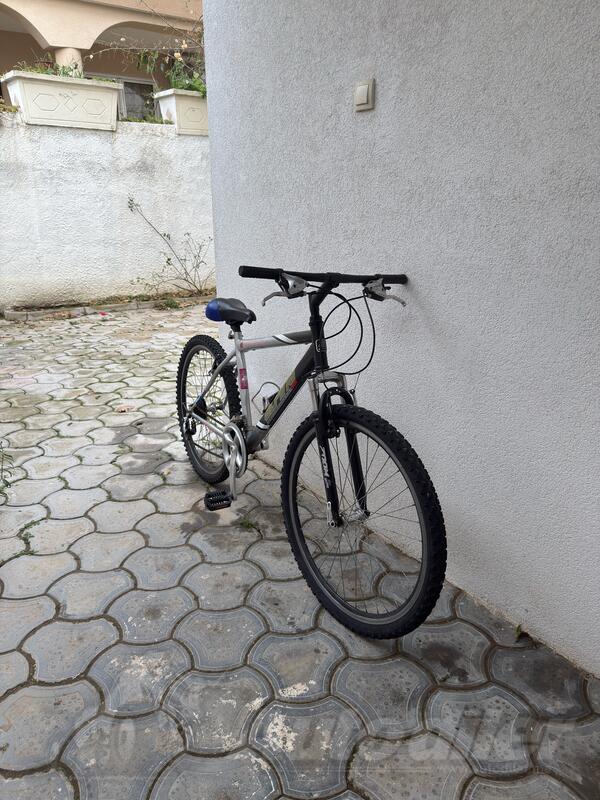 Author - urban freedom