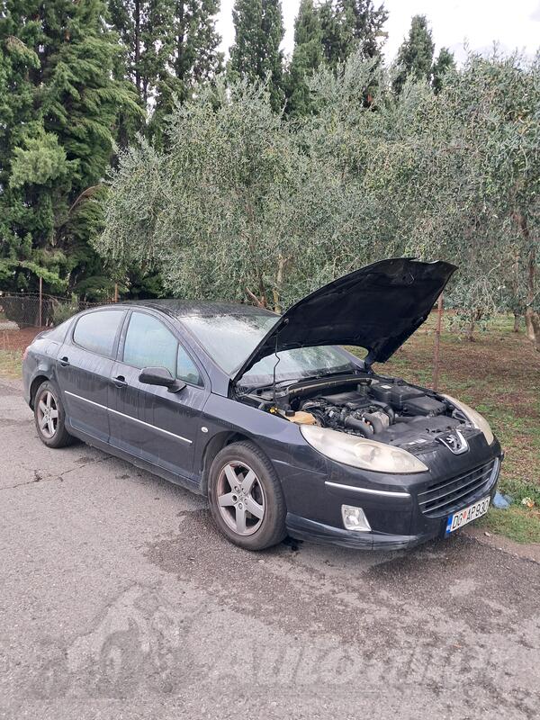 U djelovima Peugeot - 407 1.6 HDI