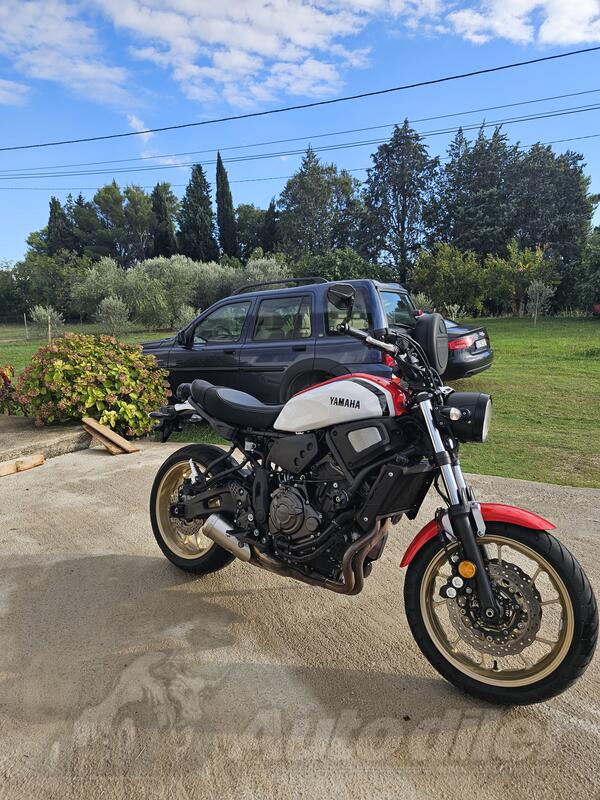 Yamaha - XSR 700 Limited