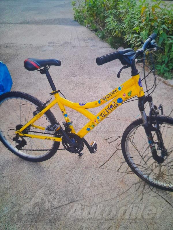 Ostalo - ALPINA skeleton 24