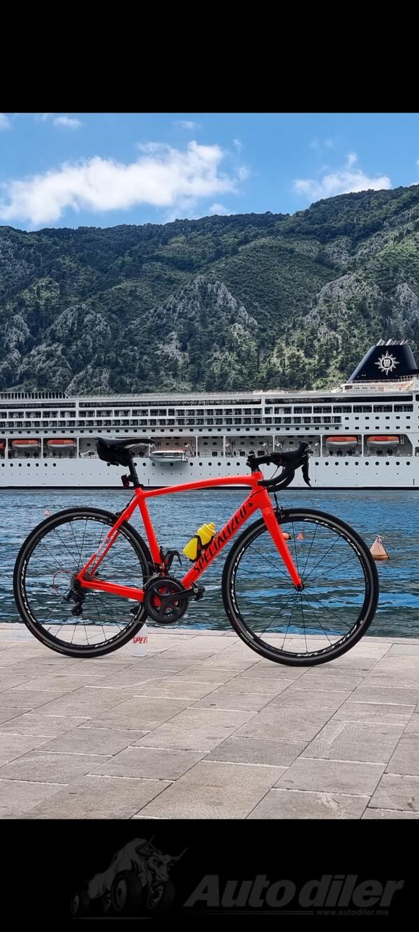 Specialized - Tarmac