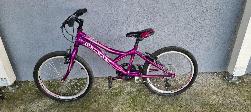 Ostalo - EXPLORER  DAISY