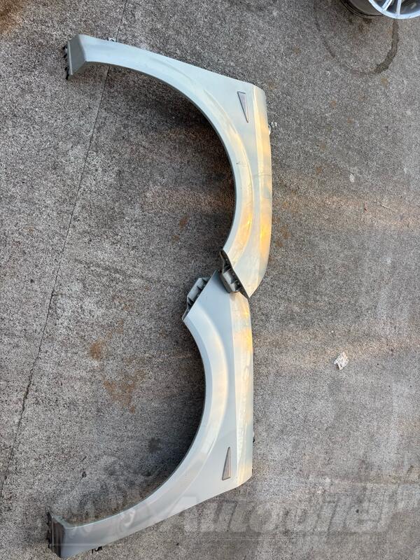 Blatobran za Renault - Scenic