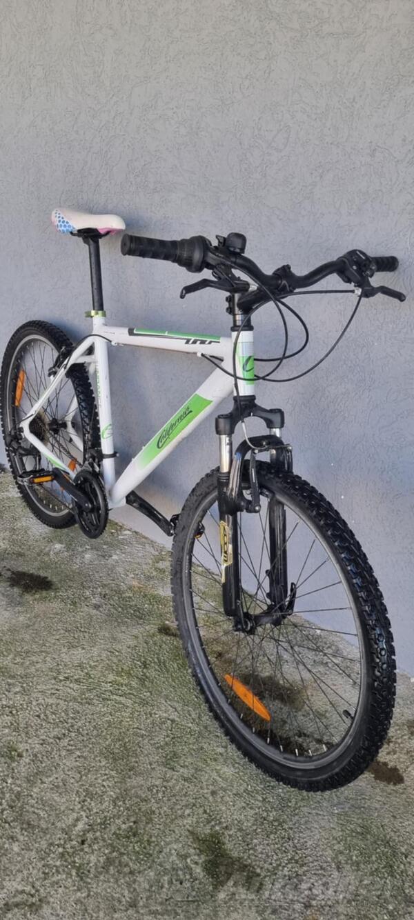 Ostalo - CALIORNIA SUDACE