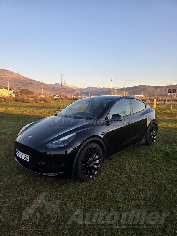 Tesla - Model 3 - Y Performance