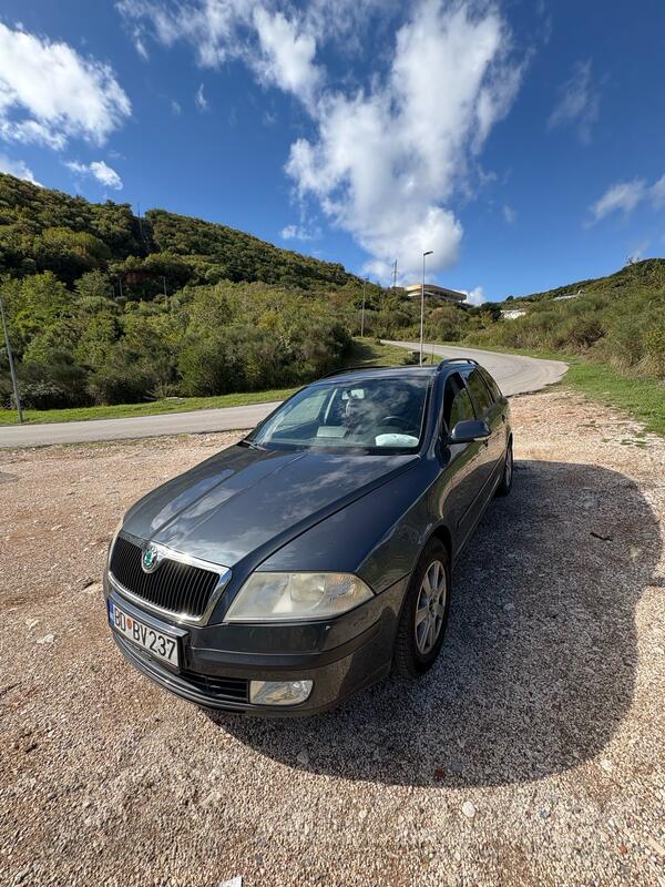 Škoda - Octavia - 1.9tdi