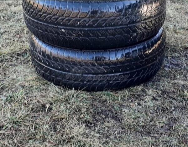 Sava - m+s - Zimska guma