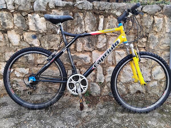 Capriolo - Adrenalin